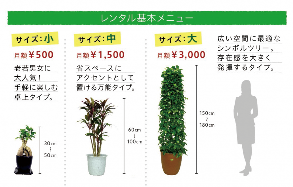 料金 プラン 観葉植物のれんたる屋さん グリーンノーム